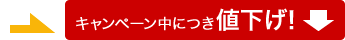 臨床評価 EDCシステム