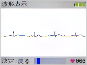 測定波形の表示