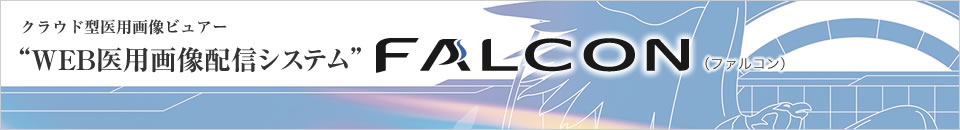 FALCON(ファルコン)